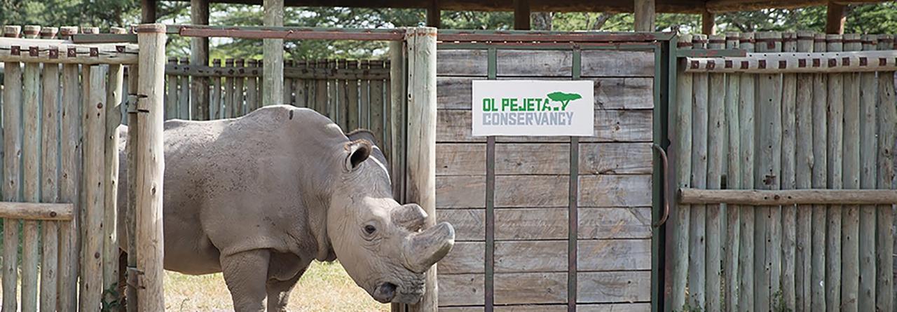 Ol Pejeta Holiday Villas Nanyuki Exterior foto
